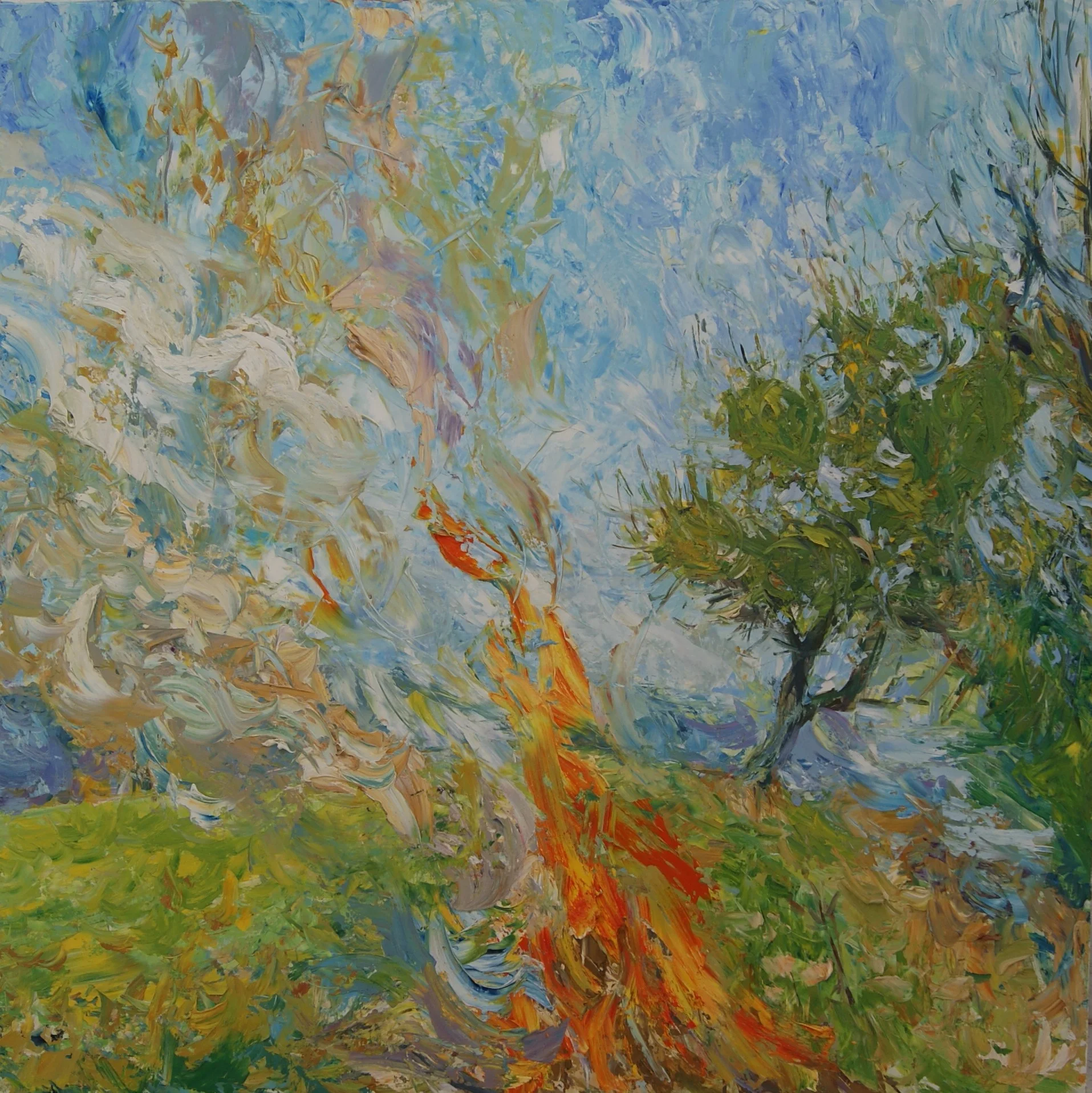 Bonfire and Apple Tree, 2011, 122 x 122cm